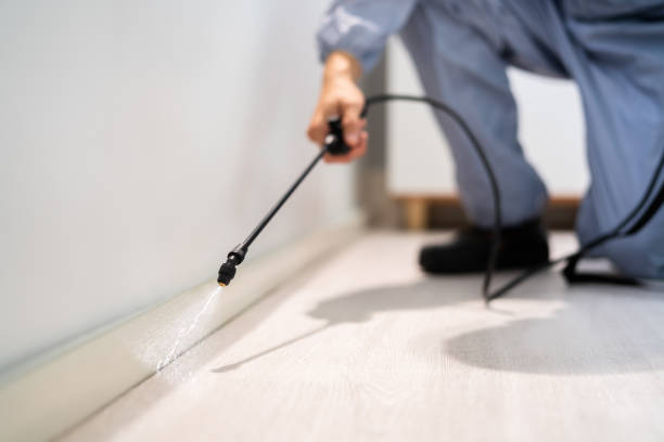 Bed Bug Pre-Treatment Preparation Assessment in New Tazewell