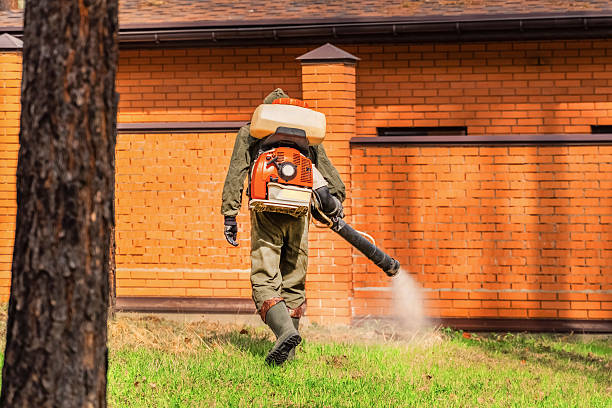 Bed Bug Clearance Verification and Documentation in New Tazewell